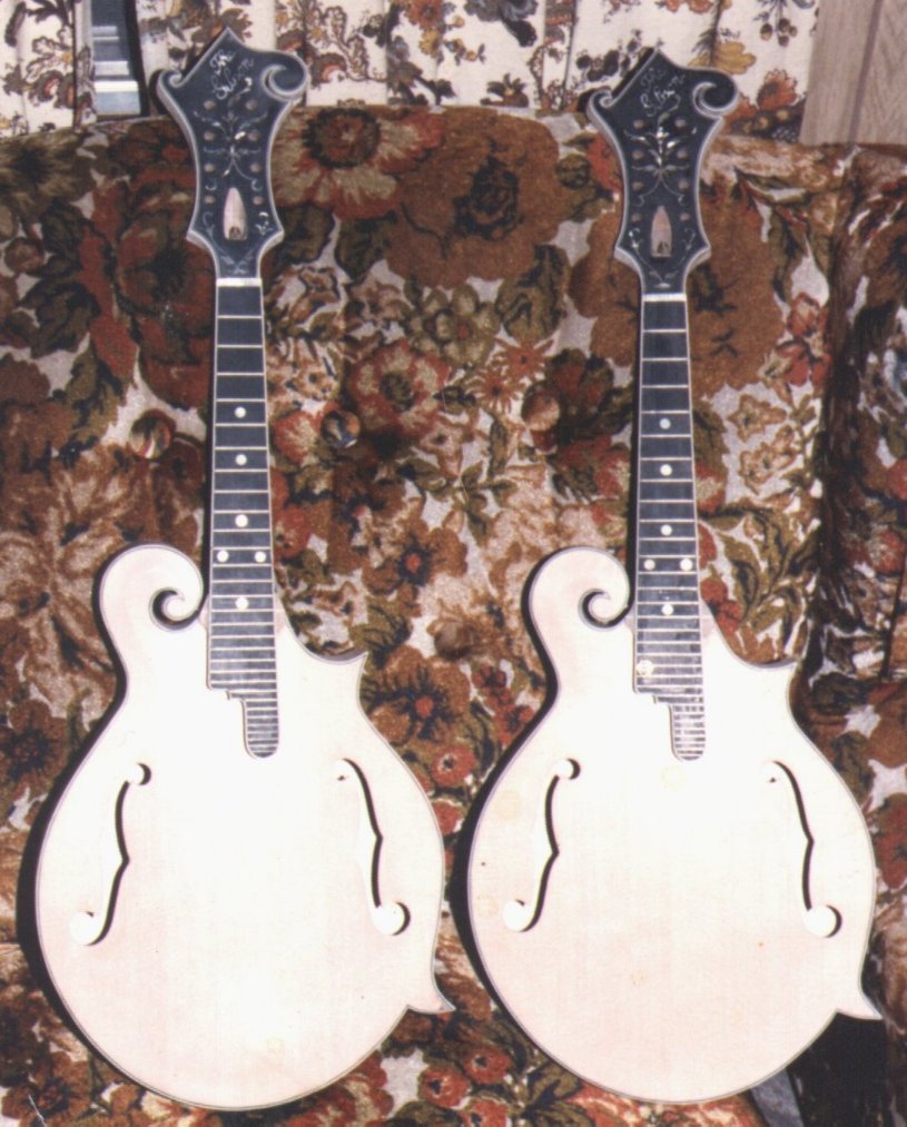 gibsonpair.jpg (214563 bytes)